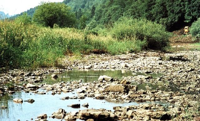 Karsztjelenségek Nem messze a Duna forrásától a folyó vízének jelentős része eltűnik a föld mélyében, és csak jóval arrébb bukkan elő a Rajna vizeként.