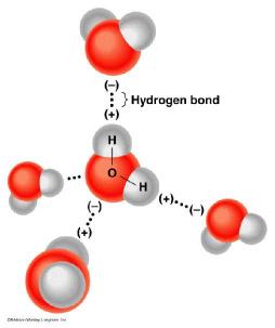 Az oxigénatommagok távolsága 27,6nm, közöttük egy-egy hidrogénatom van, amely mindkét oxigénatomhoz kapcsolódik, az egyikhez erősebben (kovalens kötéssel), a másikhoz gyengébben (hidrogénkötéssel).
