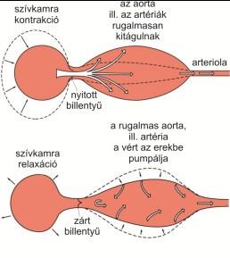 q Ohm-törény: q t I q = 1 R U R = ρ l A J q áramsűrűség q A t l fajlagos ezetőképesség p