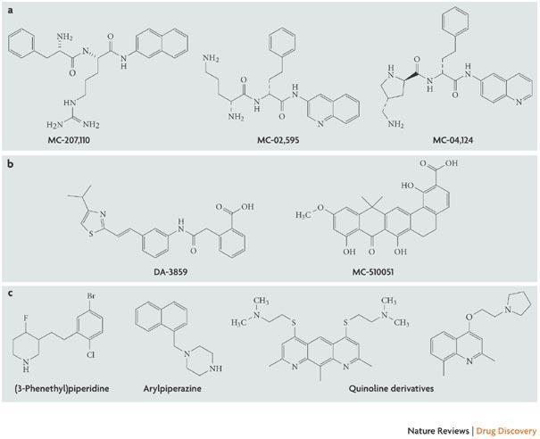 Efflux pumpa gátló vegyületek Phenylalanine- Arginine Beta- Naphthylamide (PAβN)