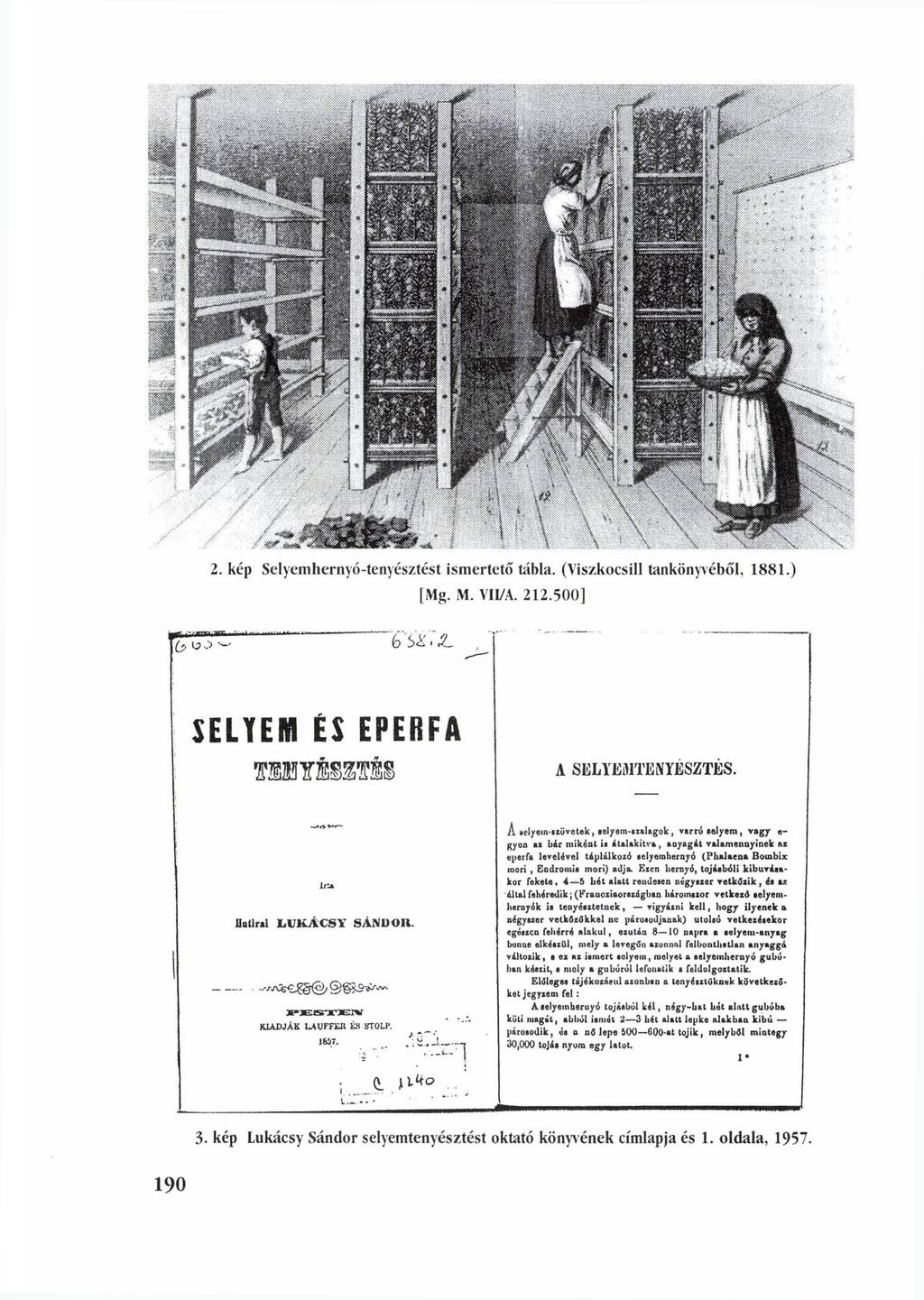 2. kép Selyemhernyó-tenyésztést ismertető tábla. (Viszkocsill tankönyvéből, 1881.) [Mg. M.