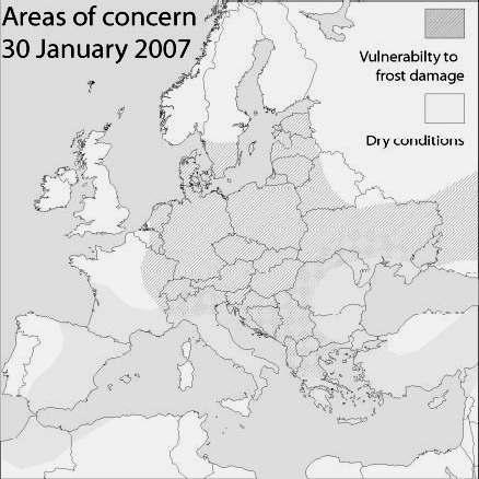 GABONAPIACI JELENTÉS Az EU búza és kukorica mérlege Az EU búza és kukoricatermelése 2013-ra várhatóan 20-25 millió tonnával emelkedhet a 2006. évhez képest.