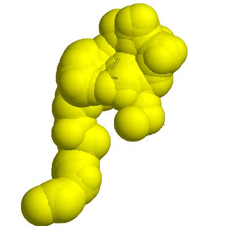 6 Å sugarú próbagömbök mérete már a kis molekulák szélességének nagyságrendjébe esik, felmerül a kérdés, hogy milyen ezeknek a hosszan elnyúló, nagy térfogatú csatornaszer üregeknek a membránhoz