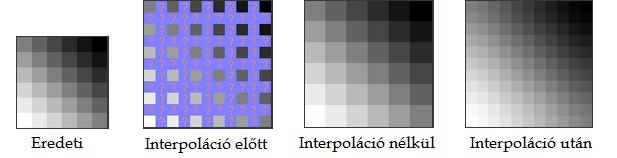 ábra A képinterpoláció m ködése [8] Példa Nagyítsuk fel az ELTE címerében