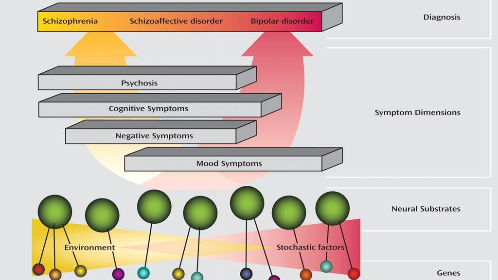 A kategorikus (diagnózisalapú) és a dimenzionális modellek szintézise Szkizofrénia Szkizoaffektív zavar Bipoláris zavar DIAGNÓZIS Pszichotikus