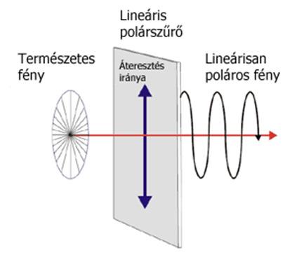 24 A lineárisan (síkban) polarizált fény A továbbiakban erről a típusú polarizált fényről lesz szó. Ez a természetben is előfordul, a víztükörről, vagy ablaküvegről visszaverődő fény polarizálódik.