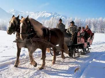 Tel: 30/923 9252 Web, árak: www.kutyafogatturamatra.hu LOVASSZÁN TÚRÁK (Csak télen, megfelelő hómennyiség esetén) Egy elegáns program a lovassportok szerelmeseinek és a romantika kedvelőinek.