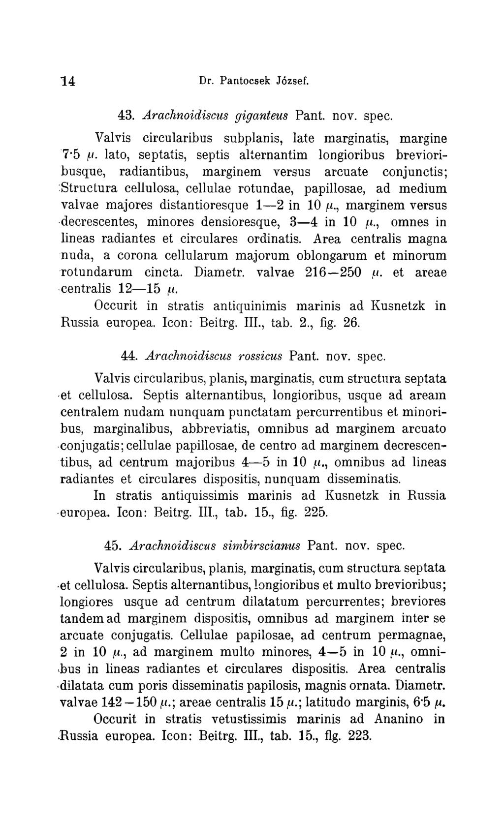 14 Dr. Pantocsek Jozsef. 43. Arachnoidiscus giganteus Pant. nov. spec. Valvis circularibus subplanis, late marginatis, margine 7-5 g.
