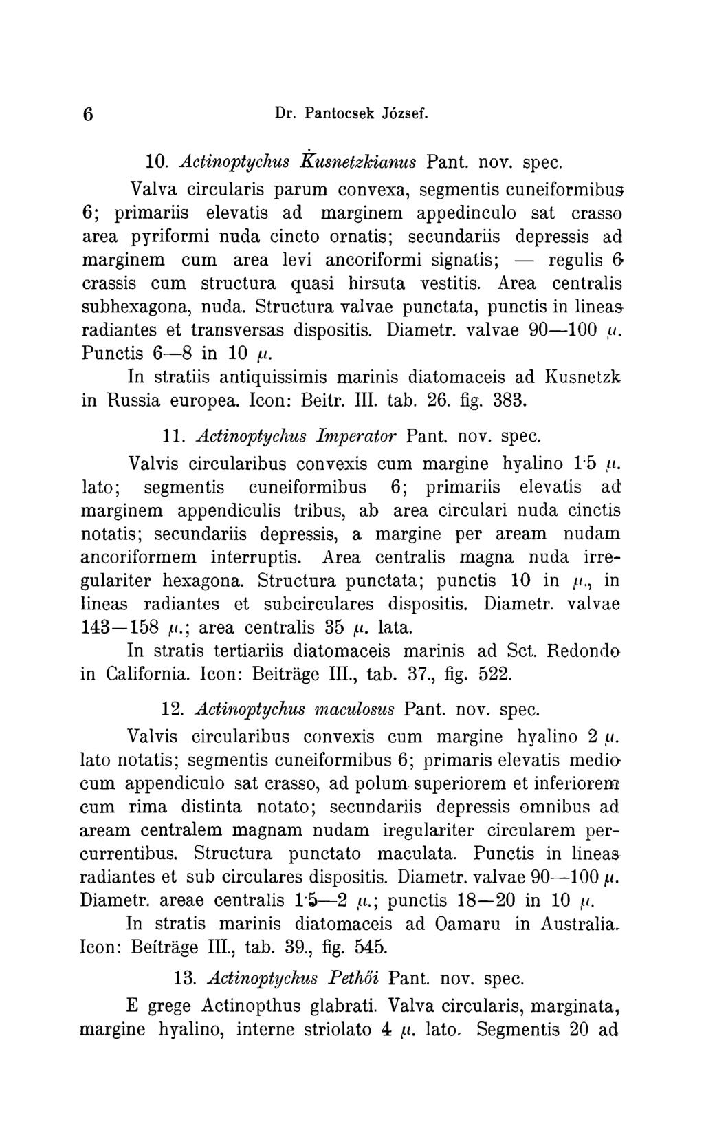 6 Dr. Pantocsek József. 10. Actinoptychus Kusnetzkianus Pant. nov. spec.