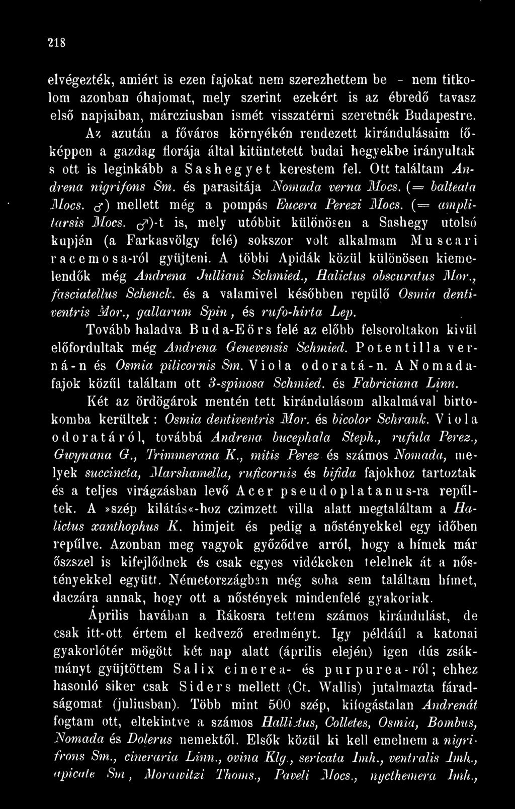 Ott találtam Andrena nigrifons Sm. és parasitája Nomada verna Mocs. (= halteata Mocs. ct) mellett még a pompás Eucera Perezi Mocs. (= amplitarsis Mocs.