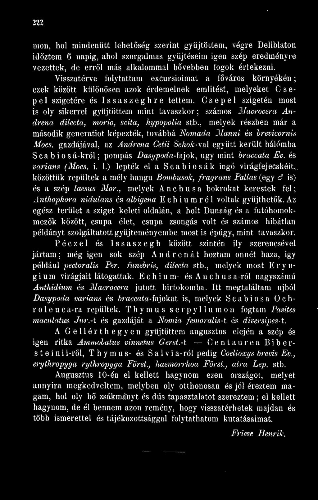 Csepel szigetén most is oly sikerrel gyjtöttem mint tavaszkor ; számos Macrocera Andrena dilecta, morio, scita, hypopolia stb.