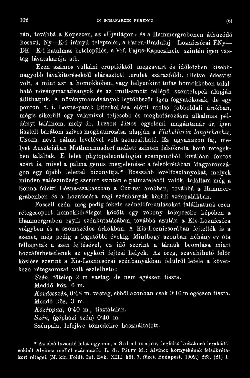 Tuzson János egyetemi magántanár úr, igen tisztelt barátom szives meghatározása alapján a Flabellaria longirhachis, Unger, nevű pálma levelével volt azonosítható.