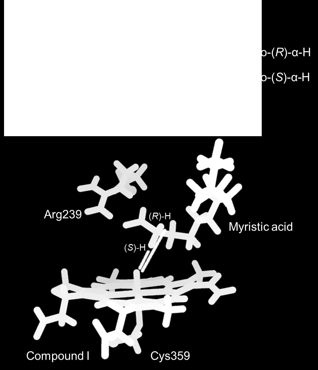 The plots of hydrogen atom of myristic acid at (S)-α-hydrogen