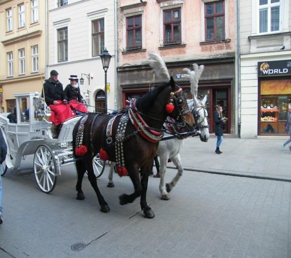 ahol meglátogattuk a Wawelt (megnéztük