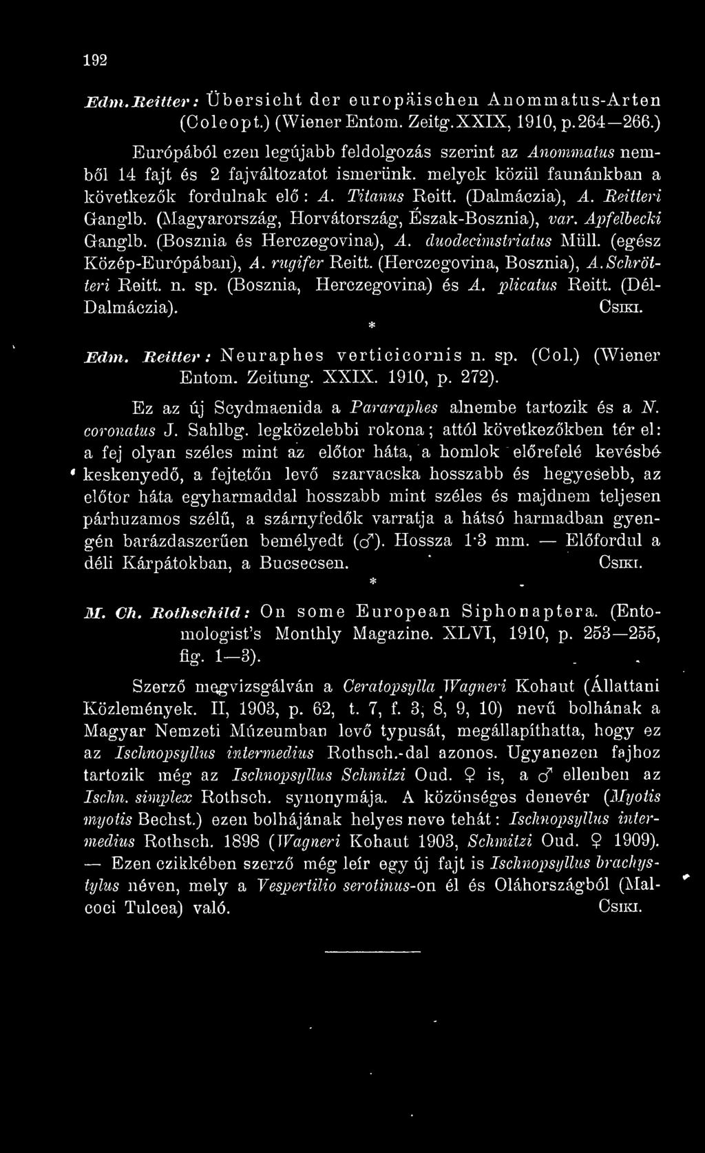 Beitteri Ganglb. (Magyarország, Horvátország, Észak-Bosznia), va7\ Apfelhecki Ganglb. (Bosznia és Herczegovina), A. cluodecimstriatus Mull. (egész Közép-Európában), A. rugifer Reitt.