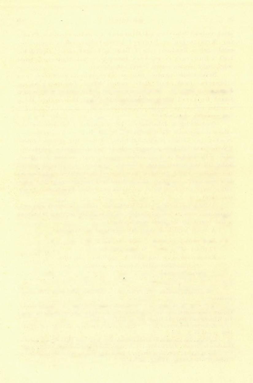 4, A Biharhegység déli részének geológiai viszonyai Nagyhalmágy és Felsővidra között, (Jelentés az 1906. év nyarán végzett részletes geológiai felvételről.) Eozlozsnik PÁLtÓl. A lefolyt évben az 1905.