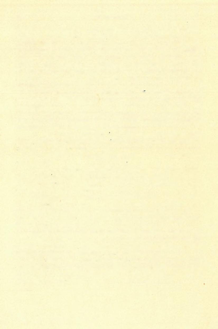 <15) FÖLVÉTELI JELENTÉS. 83 kezdődik a telér. mely csakhamar tömzszsé tágul ki.
