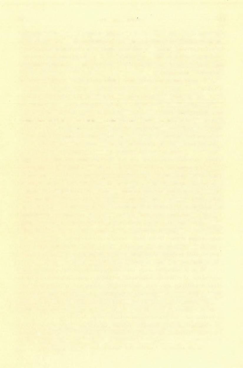 7 4 ROZLOZSNIK P4L (6) hiányzik. Lehetséges azonban, hogy ez az eredetileg nagyobb biotittartalommal függ össze.