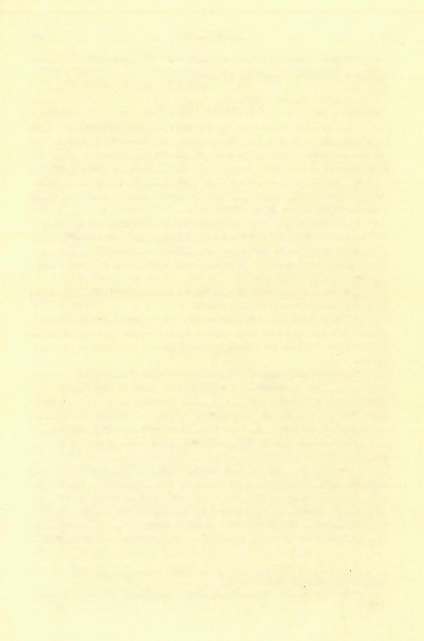 (7) FÖLVÉTELI JELENTÉS. 7 5 Dél felé Brusztur alsó végétől az Arad-látó oromig (1313 m) húzott vonal mentén felső krétarétegek fedik. Ezen előfordulás csaknem felét porphyroid alkotja.