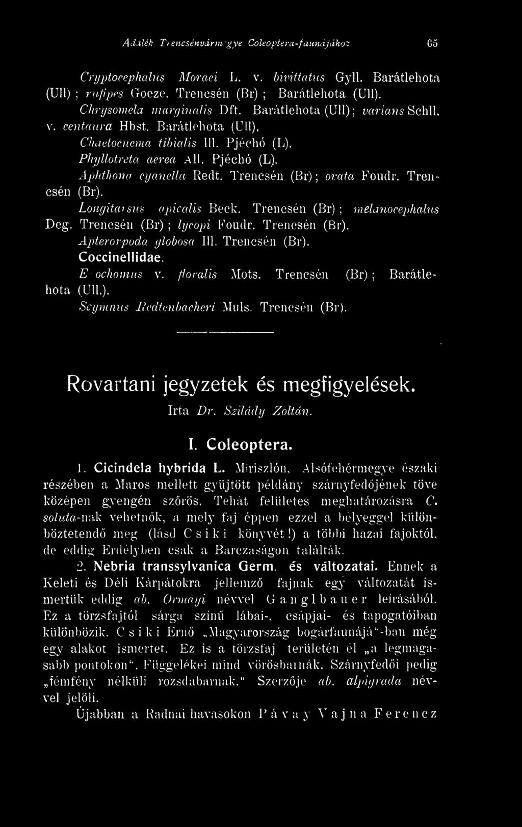 Miriszlón, Alsófehérmegye északi részében a Maros mellett gyjtött példány szárnyfedjének töve középen gyengén szrös. Tehát felületes meghatározásra C.