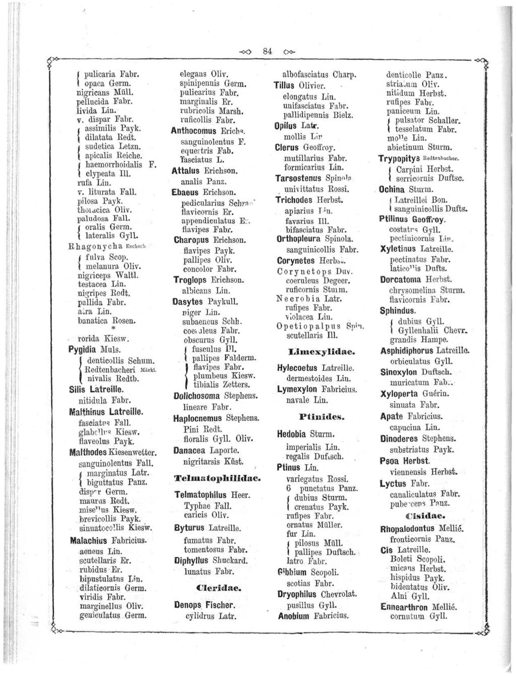 -«> 84 <x> I pulicaria Fabr. I opaca Germ. nigricans Mull. pellucida Fabr. livida Lin. v. dispar Fabr. # assimilis Payk. I dilatata Redt. sudetica Letzn. apicalis Reiche. haemorrhoidalis F.