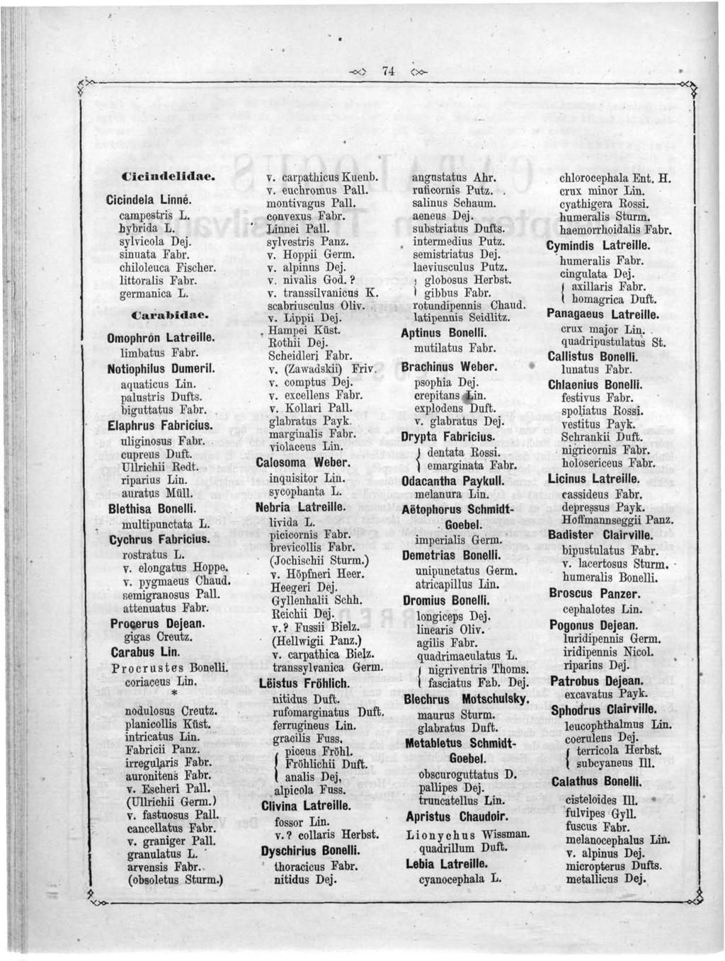 <5 ^<> 74 <>^- ~» Cicindelidae. Cicindela Linné. campestris L. hybrida L. sylvicola Dej. sinuata Fabr. chiloleuca Fischer. littoralis Fabr. germanica L. Carafoidae. Omophron Latreille. limbatus Fabr.