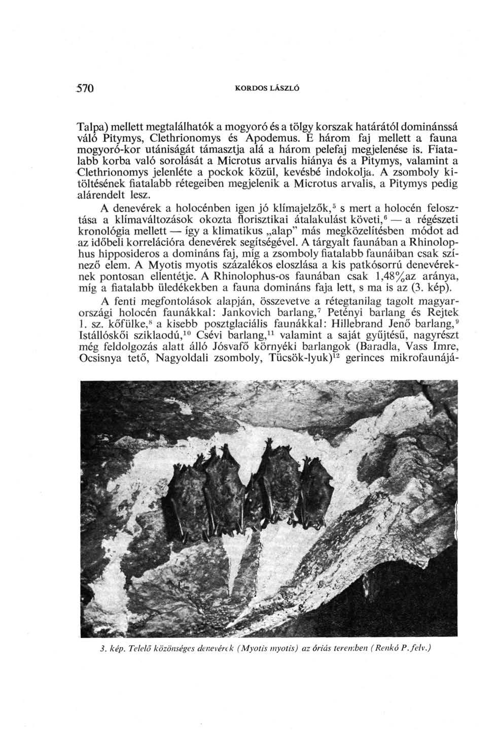 570 KORDOS LÁSZLÓ Talpa) mellett megtalálhatók a mogyoró és a tölgy korszak határától dominánssá váló Pitymys, Clethrionomys és Apodemus.