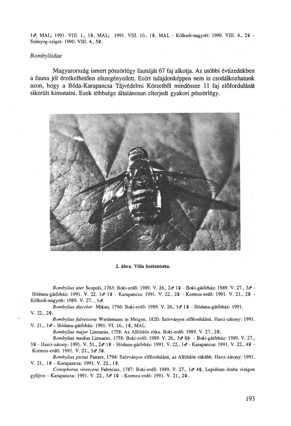 Id-, MAL; 1991. VIII. 1., 19, MAL; 1991. VIII. 10., 19, MAL - Kölkedi-nagyrét: 1990. VIII. 4., 29 Szúnyog-sziget: 1990. VIII. 4., 59.