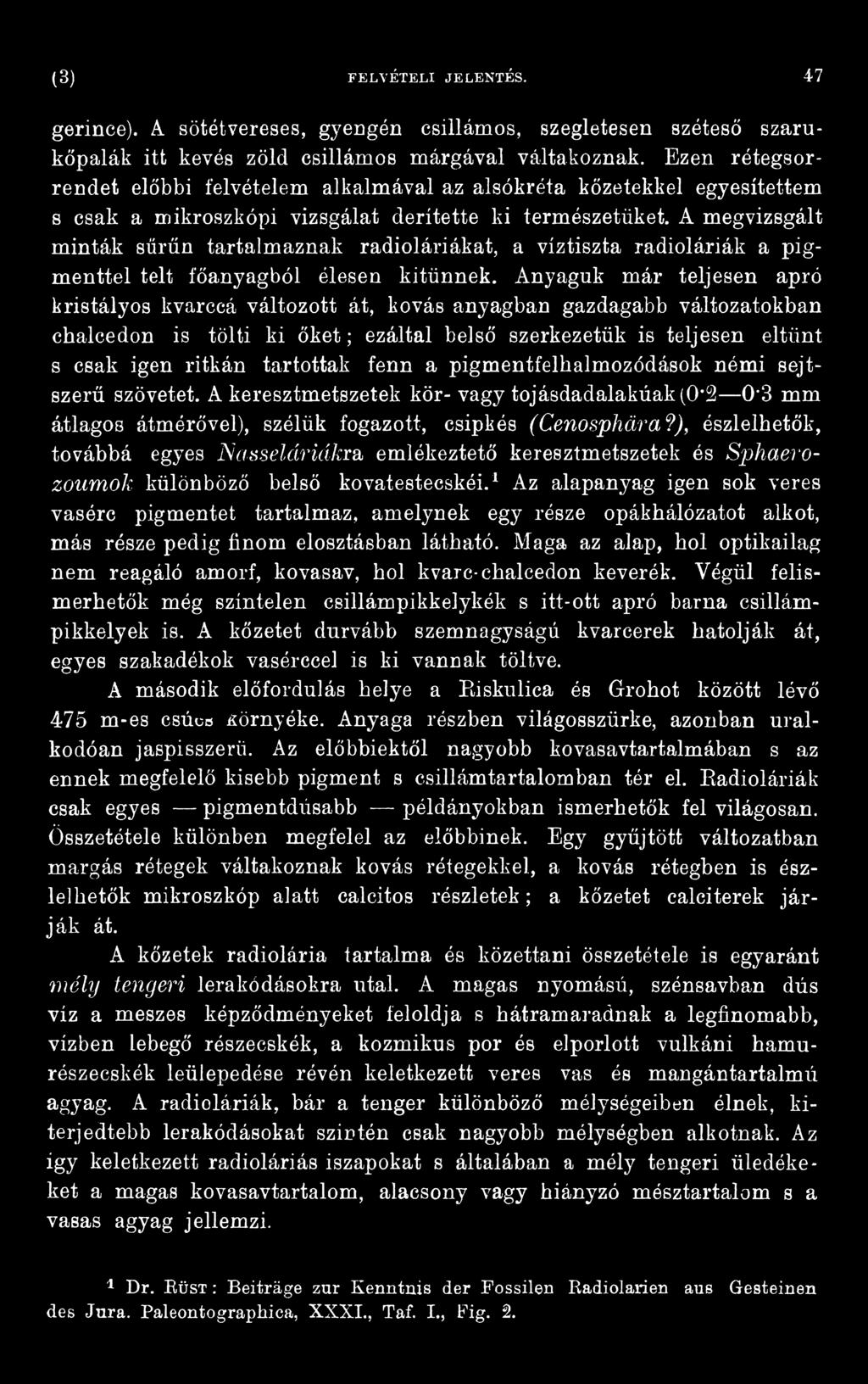 fenn a pigmentfelhalmozódások némi sejtszerű szövetet. A keresztmetszetek kör- vagy tojásdadalakúak(0*2 0*3 mm átlagos átmérővel), szélük fogazott, csipkés (Cenosphára?