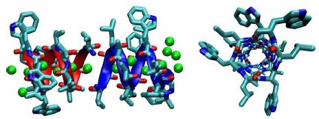 Protontranszfer a gramicidin A (ga) csatornán The gramicidin A, an ionophorous antibiotic may come as close as we know to a proton conducting, hydrogen bonded chain with a low Born energy factor.