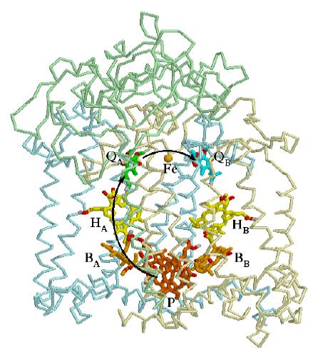 What could cause the conformational change?