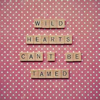 96 cm] HC027-A Wild Hearts Can t Be Tamed 96