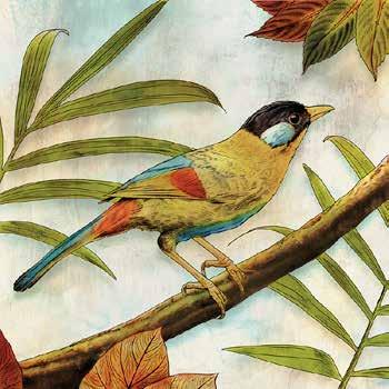 POD COASTAL SE061-A Jungle Bird I Edward