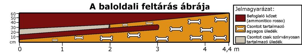 (tanúfalnak), hogy esetleges későbbi földtani, őslénytani vizsgálatok is elvégezhetőek legyenek. A réteg erősen cementált is volt, mely megnehezítette a mintavételt. Vastagsága kb.