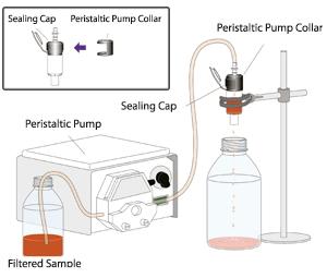 Antitestek tisztításának lépései Protein G vagy Protein A Sepharose kromatográfiával Antitestek tisztításának lépései Protein G vagy Protein A Sepharose kromatográfiával Ellenanyagok tárolása