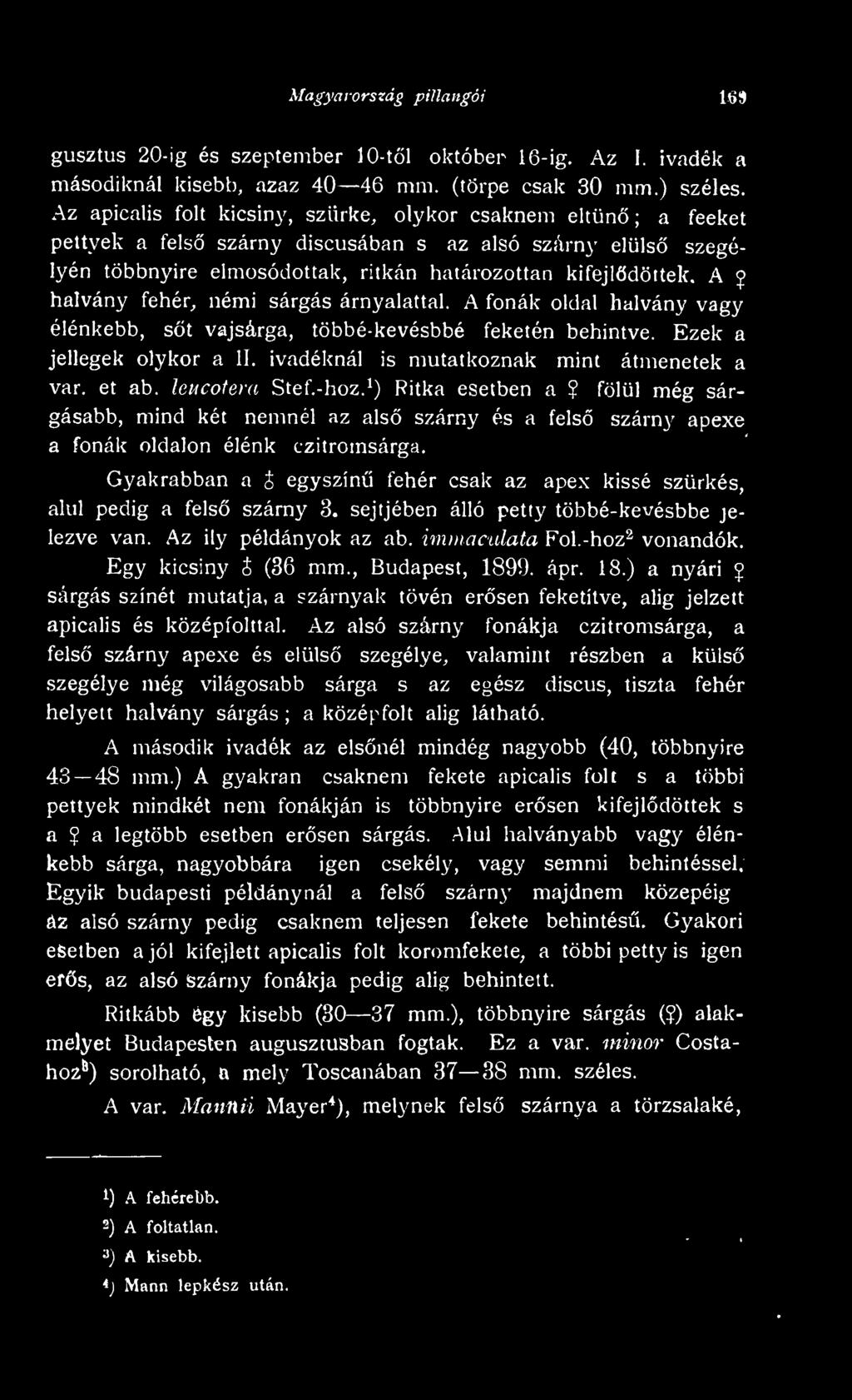 A 9 halvány fehér, némi sárgás árnyalattal. A fonák oldal halvány vagy élénkebb, st vajsárga, íöbbé-kevésbbé feketén behintve. Ezek a jellegek olykor a II.