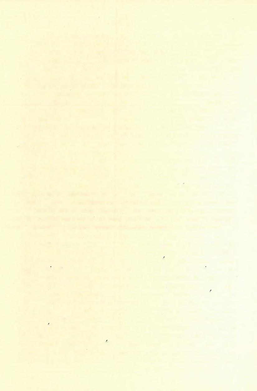 90 T. ROTH LAJOS. ( 16) A kőzet, melyet mint ismeretes - Cotta * bánátit névvel jelölt meg (a bányászok szienitnek nevezik), vagy dioritos, vagy andezites habitusú.