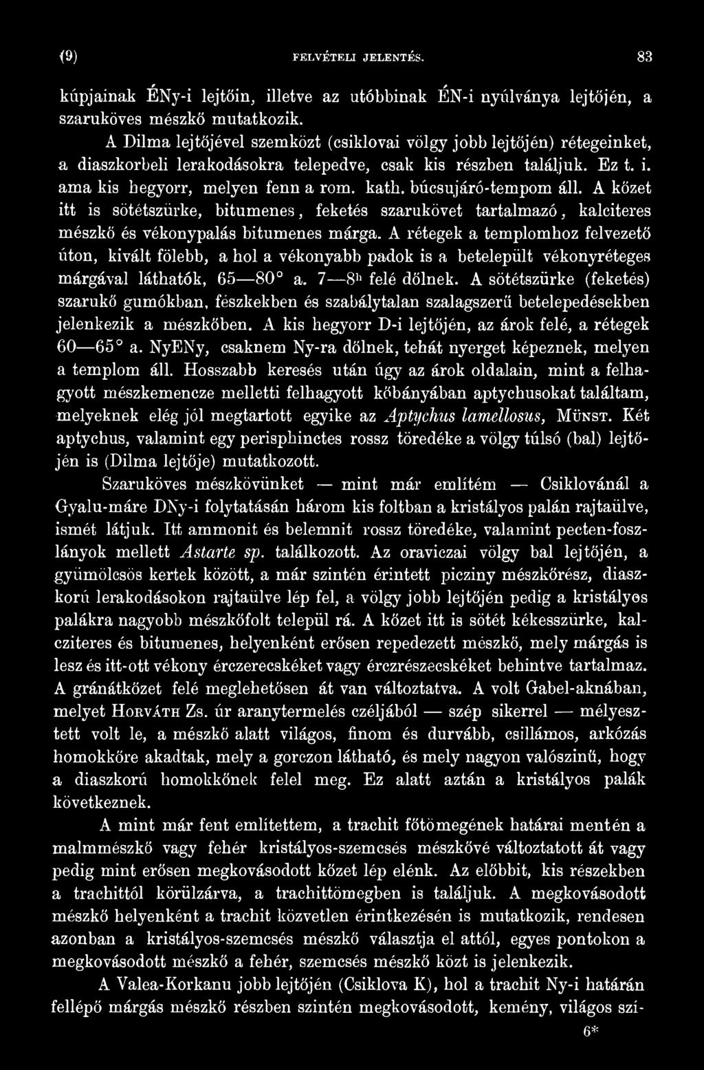 A sötétszürke (feketés) szarukő gumókban, fészkekben és szabálytalan szalagszerű betelepedésekben jelenkezik a mészkőben. A kis hegyorr D-i lejtőjén, az árok felé, a rétegek 60 650 a.