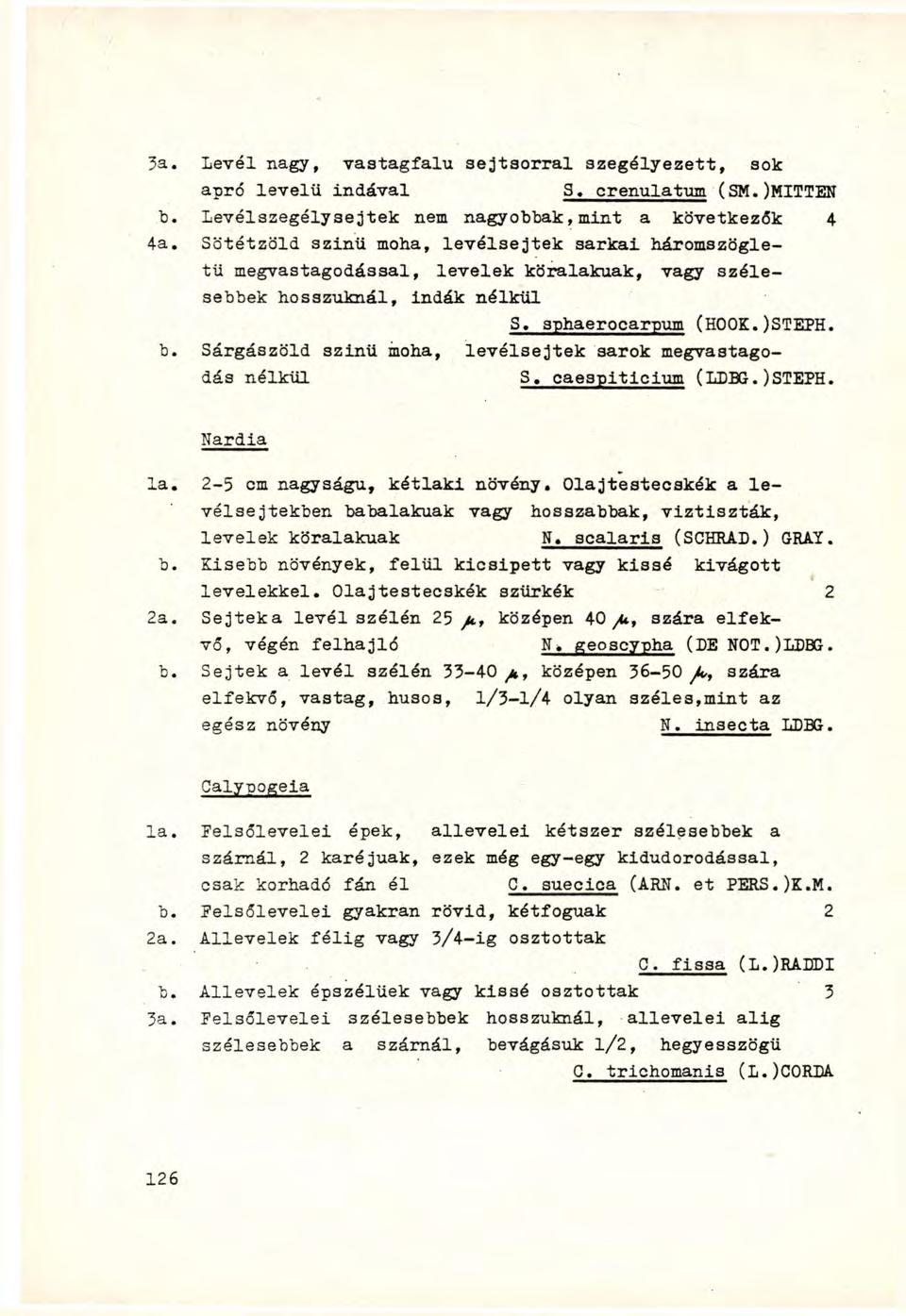 3a. Levél nagy, vastagfalu sejtsorral szegélyezett, sok apró levelű indával 3. crenulatum (SM.)MITTEN b. Levélszegélysejtek nem nagyobbak, mint a következők 4 4a.