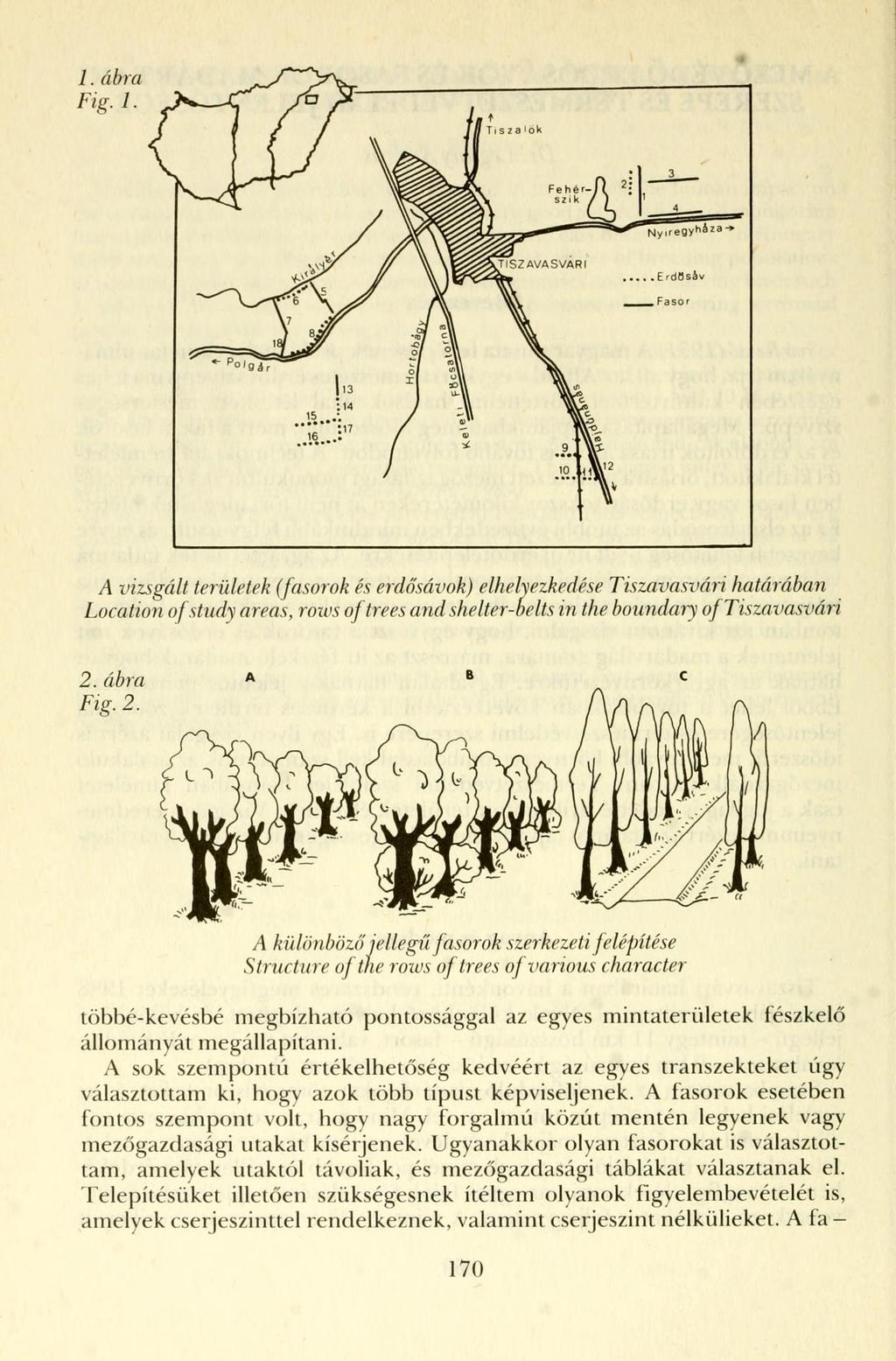 A vizsgált területek (fasorok és erdősávok) elhelyezkedése Tiszavasvári határában Location ofstudy areas, rows of trees and shelter-belts in the boundary of Tiszavasvári 2.