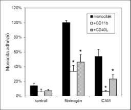 2. ábra: A CD40 ligand verseng a kötőhelyekért a fibinogénnel és az ICAM-1-el. Kontrollként gátló anti-cd11b antitestet alkalmaztunk. *p<0,05 a kezeletlen monocitákhoz viszonyítva. A B 3.