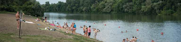 ALGYŐI HÍRMONDÓ Fejlesztési dömpinget hozott 2018 Algyőn Nem túlzott Molnár Áron polgármester, amikor tavaly év elején azt mondta, 2018 az építkezések éve lesz Algyőn.