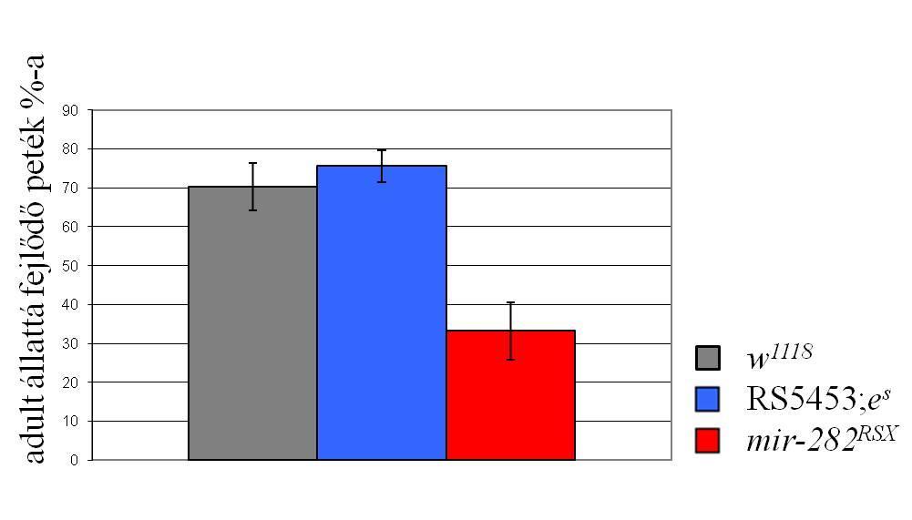 11. Ábra: mir-282 RSX mutánsok szemiletalitás vizsgálata belső kontroll és vad típusú törzsekhez viszonyítva: A kísérletet öt párhuzamos mintával, összesen legalább 450 egyedet vizsgálva végeztük.