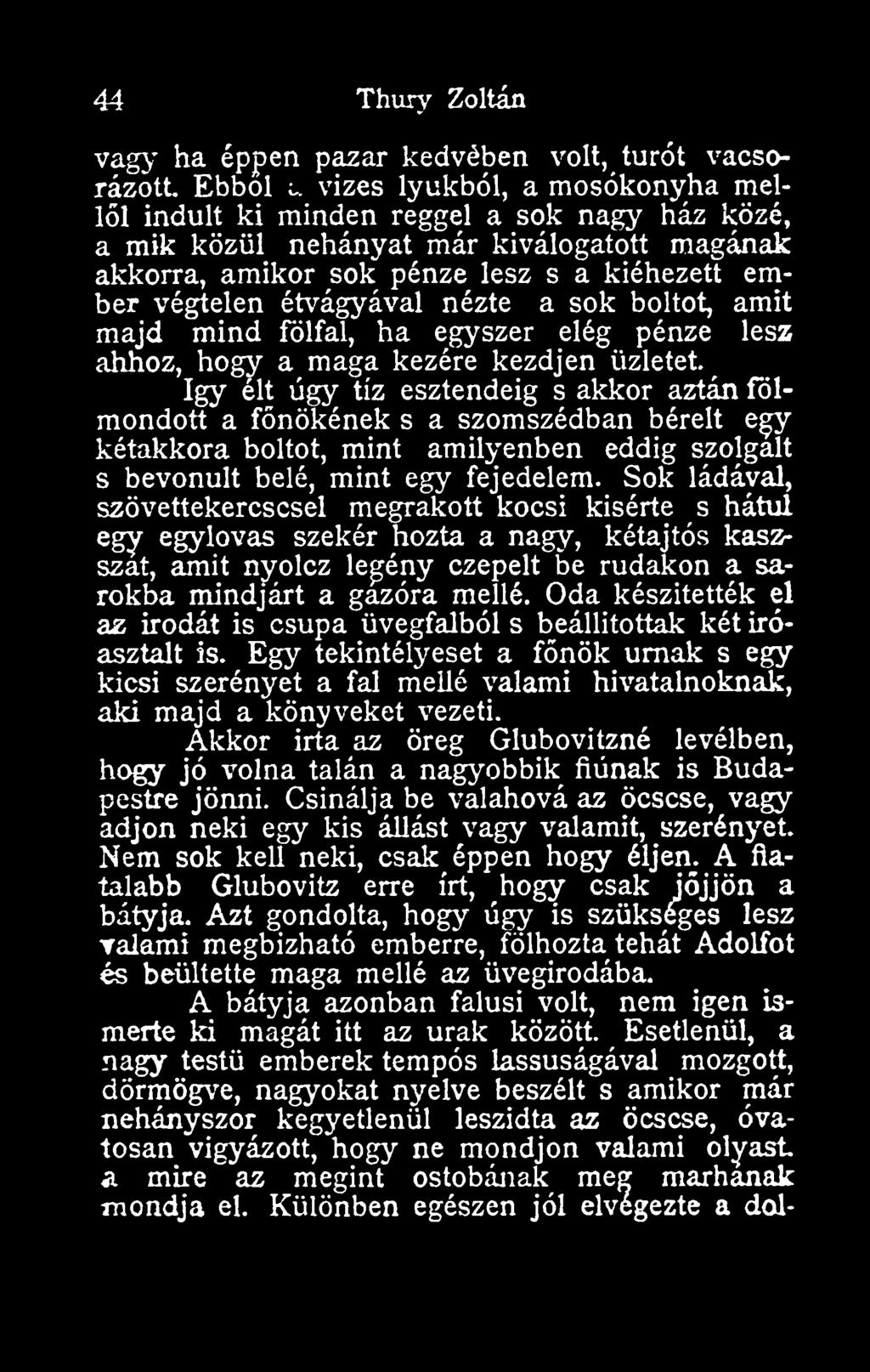 nézte a sok boltot, amit majd mind fölfal, ha egyszer elég pénze lesi a maga kezére kezdjen üzletet.