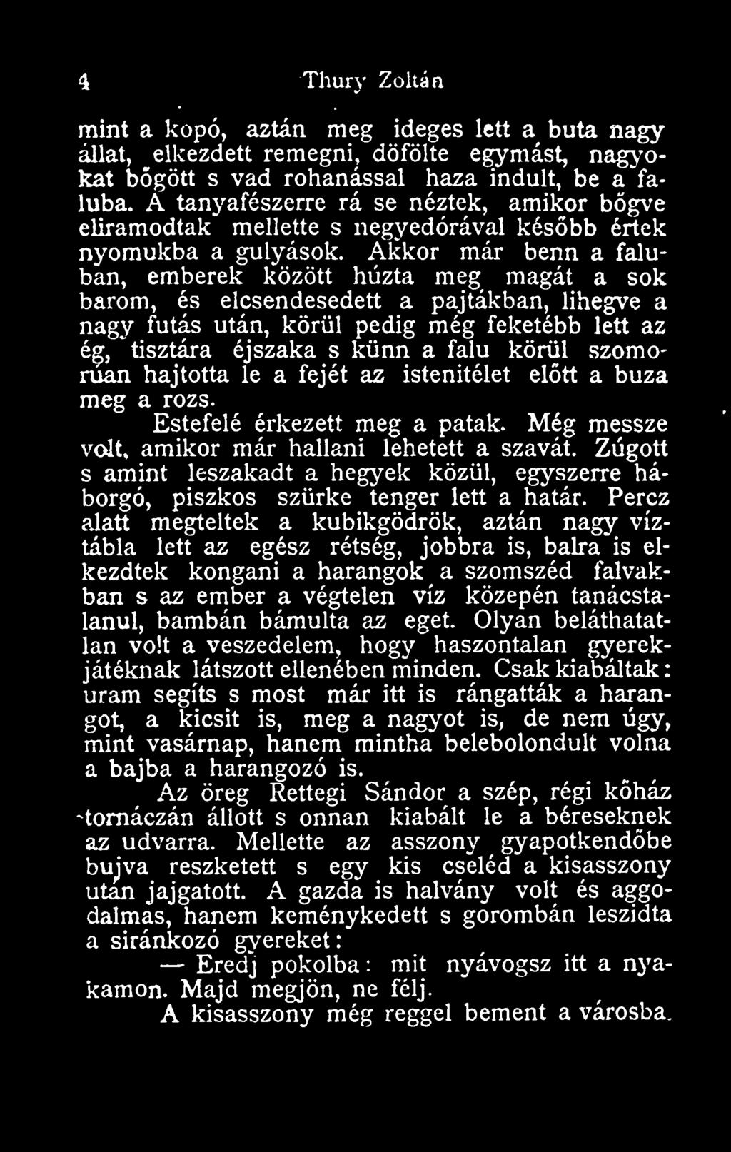 Zúgott s amint leszakadt a hegyek közül, egyszerre háborgó, piszkos szürke tenger lett a határ.