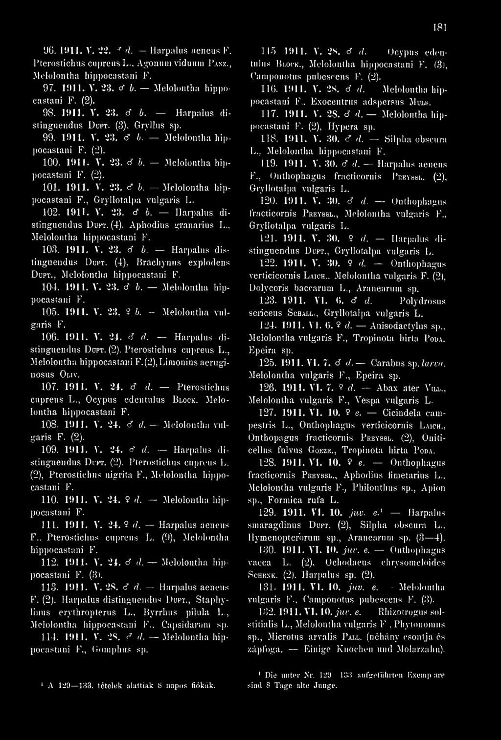 102. 1911. Y. 23. t t. Harpalus distinguendus Duft. (4), Âphodins granarius L.. Melolontha hippocastani 103. 1911. V. 23. 3 I. Harpalus dis tiuguendus Duft. (4), Brachynus explodens Duft.