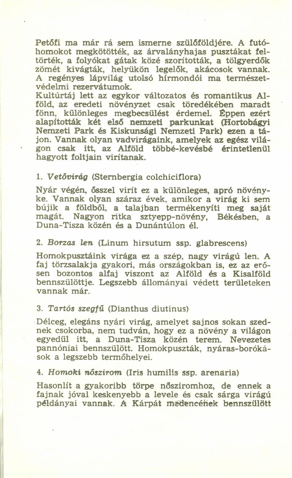 Petőfi ma már rá sem ismerne szülőföldjére, A futóhomokot megkötötték, az árvalányhajas pusztákat feltörték, a folyókat gátak közé szoritották, a tölgyerdők zömét kívágták, helyükön legelők, akácosok