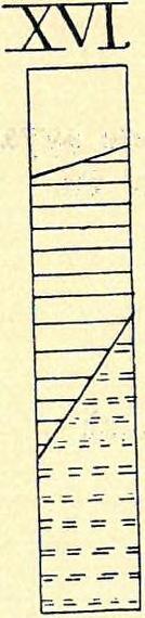 40 cm homok 150 cm