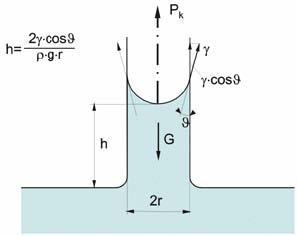 Kapilláris hatás γ /G γ /G G Üveg Üveg γ / γ /G = γ / + γ /G cosθ Egyensúly rendszerekben mindig: