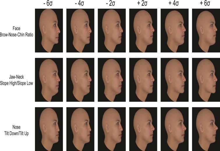 I. Felmérés-felismerés Új(abb) tesztek/módszerek Komputerizált arc analízis (3D